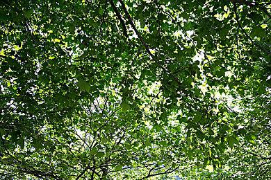 Geoff宣布夏日游戏节2024定于6＆7举行